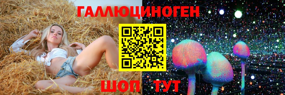где купить наркоту  Галлюциногенные грибы Psilocybine cubensis  Вход с VPN  Сухой Лог 
