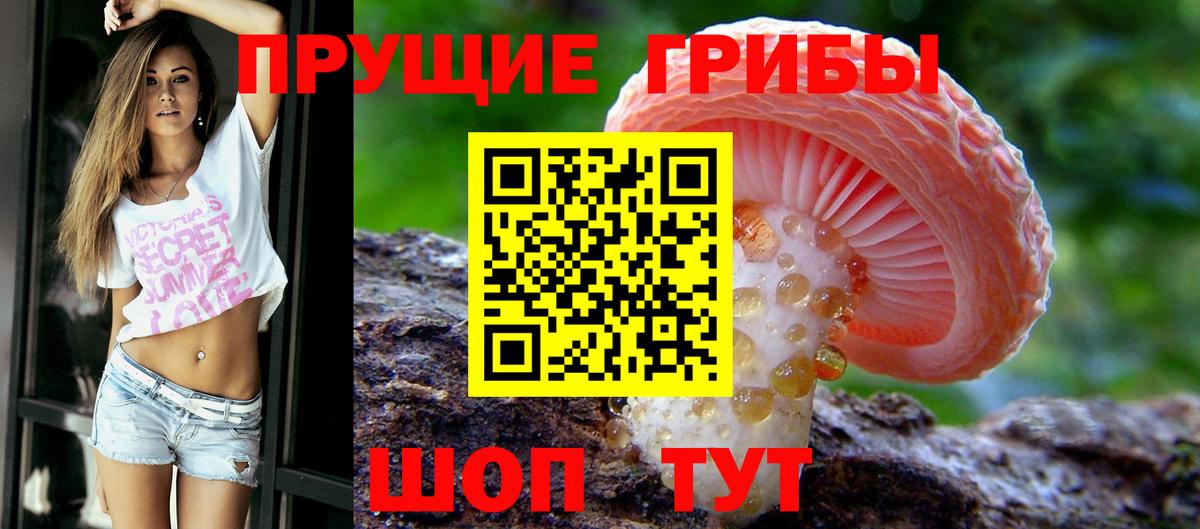 Галлюциногенные грибы MAGIC MUSHROOMS Сухой Лог