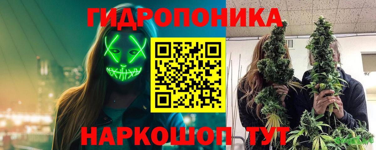 Конопля семена  Бошки Шишки AK-47  Бошки Шишки тримм  Сухой Лог  Вход с VPN  Марихуана конопля 